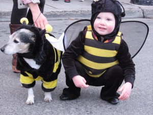 A boy and his dog, as bees.