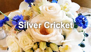 Silver Cricket Floral Park City